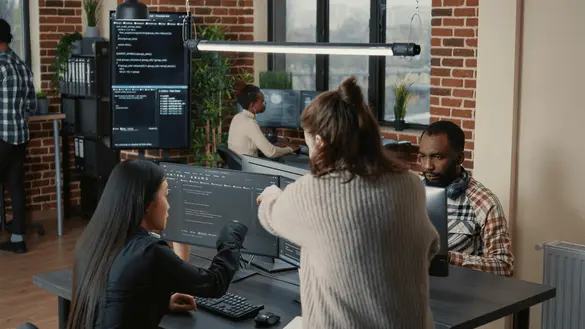 Software engineers working on a project